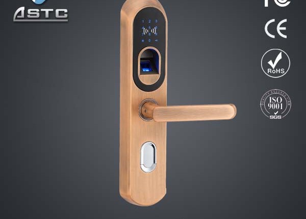 Fingerprint door locks