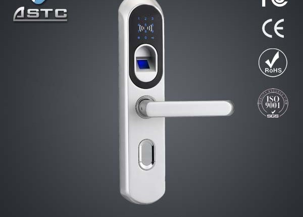 Biometric door lock