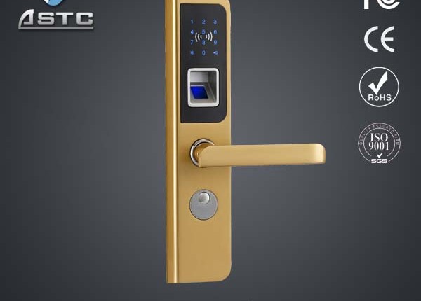 Biometric door lock