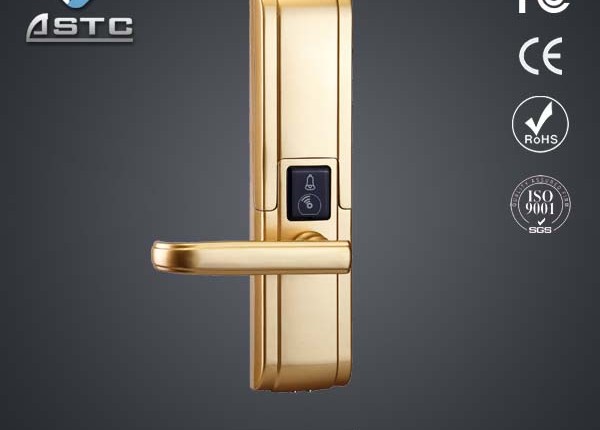 Fingerprint identification lock