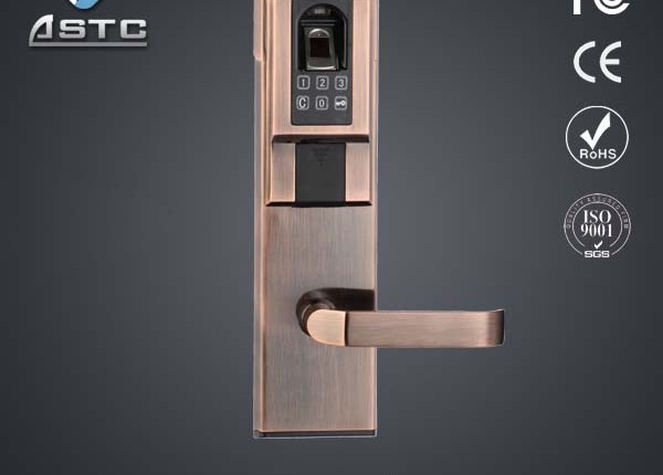 Biometric door lock