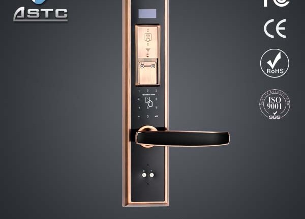 Biometric identification lock