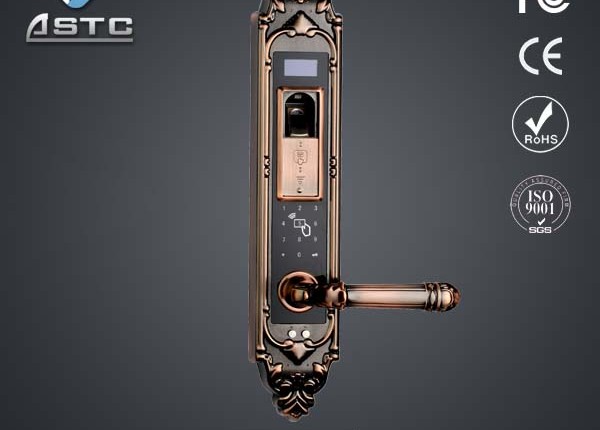 Fingerprint password door lock