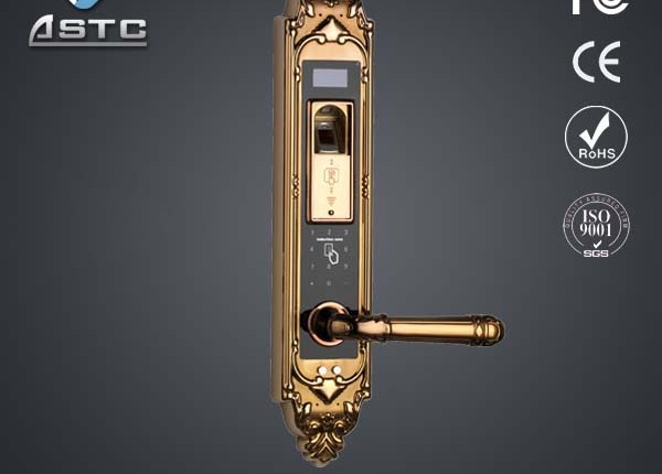 Biometric fingerprint door lock