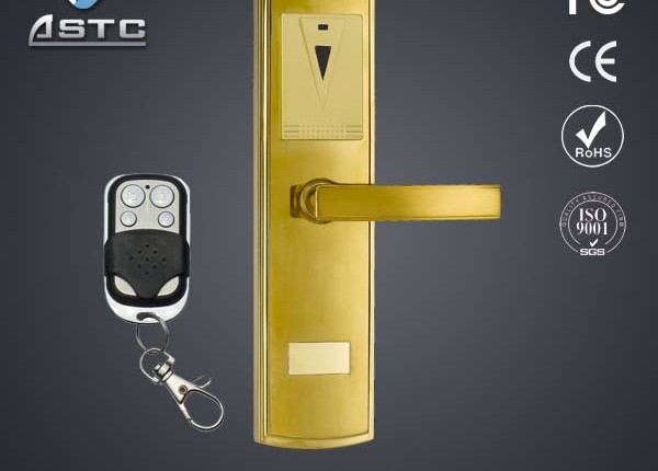 Remote door lock system