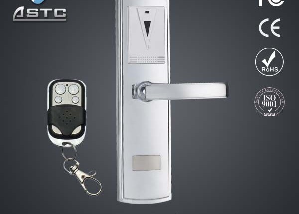 Remote access door lock